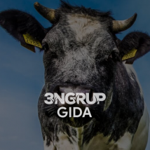 3N Grup Gıda